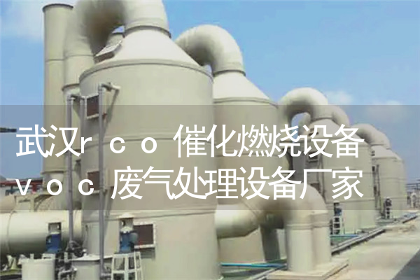 武汉rco催化燃烧设备 voc废气处理设备厂家